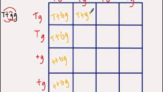 Dihybrid Punnett Square [upl. by Annadiana970]