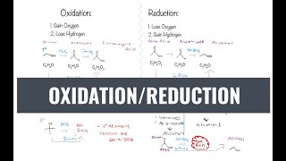 PCC JONES LiAlH4 NaBH4  OxidationReduction [upl. by Ardnek]