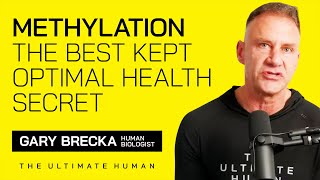 Methylation  The Best Kept Optimal Health Secret [upl. by Polash286]