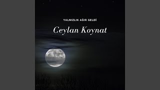 Yalnızlık Ağır Geldi [upl. by Yrag]