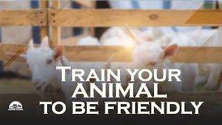 Train your animal to be friendly [upl. by Gibb527]