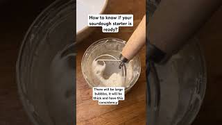 How to know if your sourdough starter is ready It will be a thick consistency and lots of bubbles [upl. by Sairahcaz883]