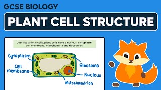 Plant Cell Structure  GCSE Biology [upl. by Eneleahcim]