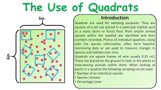 GCSE Biology exam questions Use of quadrats question video [upl. by Brunn]