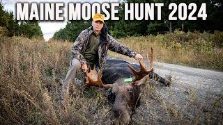 Quick Shot The Fastest Moose Hunt You’ll Ever See  Maine Moose Hunt 2024 [upl. by Easter]