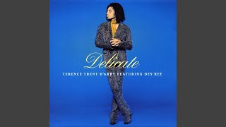 Terence Trent DArby  Delicate Audio HQ [upl. by Nuli873]