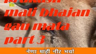 prakash mali bhajan gau mata part 3 [upl. by Hogue]