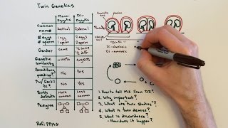 Twin Genetics and Types of Twins [upl. by Ivanah]