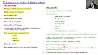 Whats the difference between animal and plant proteins [upl. by Pattin]