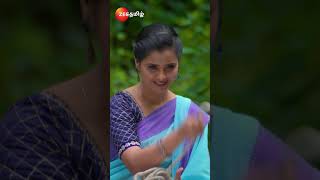 Karthigai Deepam கார்த்திகை தீபம்  EPI532  தினமும் இரவு 9 மணிக்கு  Zee Tamil shorts ytshorts [upl. by Rani]