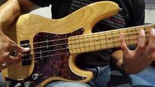 Portrait of Tracy  Jaco Pastorius  Bass cover JB Salles wmv [upl. by Lenno574]