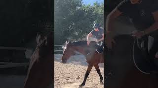 Première fois en cordelette equitation equestrian viralshorts cheval liberté drole horse [upl. by Nileuqay]