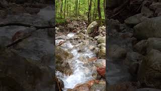 Impressions of Berchtesgaden National Park 🇩🇪 germany berchtesgaden nationalpark [upl. by Andromeda]