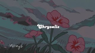 Melanie Martinez  Chrysalis March 2020 Unreleased Tradução  Lyrics [upl. by Inahc]