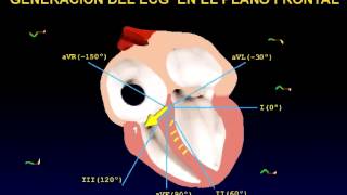 El electrocardiograma EKG [upl. by Evelinn]