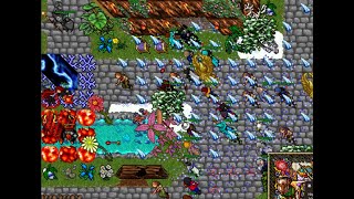 CRAZIEST TIBIA SERVER IN THE WORLD  ONLINE FOR 20 YEARS [upl. by Vinaya]