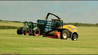 Silage with New Holland FR 920 Plus Friends [upl. by Mya668]