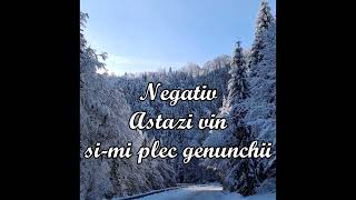 Astazi vin simi plec genunchii  negativ [upl. by Adnorahs158]