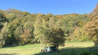 Icehouse  Man of Colours in RheinischBergisch [upl. by Ailahk]