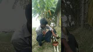 😄🤣😄🤣😂😅agar aap sabko 📸 Pasand aaya ho to dher Sara pyar de video 📸 [upl. by Aztiray164]