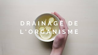 Drainage  Comment Détoxifier son Organisme  Webinaire [upl. by Furtek]