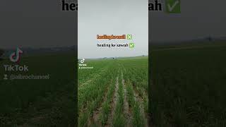 Healing ke Mall❎Healing ke Sawah✅ [upl. by Llennhoj]