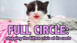 How to Save the MOST KittensUsing the Full Circle Strategy [upl. by Domeniga]