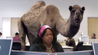 Geico Hump Day Bible Study Commercial [upl. by Luci]