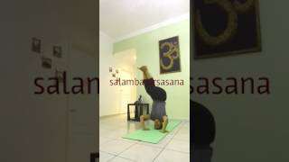 Salamba sirsasana or tripod headstand  YOGA SHAKTI [upl. by Ruy613]