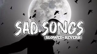 SAD SONGS 💔😭 LOFI MASHUP SONGS SLOWEDREVERB lofi song mashup sadsong music slowedandreverb [upl. by Eidnas613]