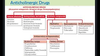 Anticholinergic Drugs [upl. by Yert734]