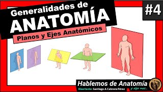 🔴 ANATOMIA 👉 PLANOS Y EJES DEL CUERPO HUMANO 🟩 ANATOMÍA GENERALIDADES 4 🟪Hablemos de Anatomía y Alg [upl. by Ilwain345]