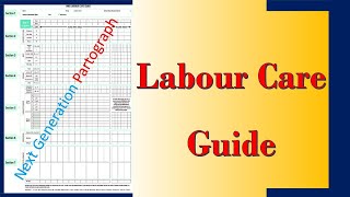 WHO Labour Care Guide  What is the Differences Between Partogram and Labour Care Guide [upl. by Anoif]