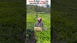 भारत के Top 5 चाय उत्पादक राज्य ☕shorts tea top5 [upl. by Paulina]