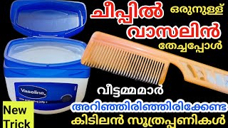 ഒരു തുള്ളി വാസലിൻ ചീപ്പിൽ തടവിയപ്പോൾ കിടിലൻ സൂത്രംവീട്ടമ്മമാർ മിസ്സ്‌ ആക്കല്ലേVaseline Tips [upl. by Sophey575]