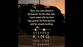 Listen to Stephen Kings YOU LIKE IT DARKER [upl. by Ahsekal]