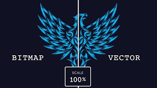 What is a vector  Difference between Bitmap image amp Vector Image [upl. by Roselyn]