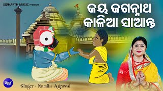 Jaya Jagannatha Kalia Saanta Sumadhura Jagannatha Bhajan  Namita Agrawal  ଜୟ ଜଗନ୍ନାଥ କାଳିଆ ସାଆନ୍ତ [upl. by Kissner]