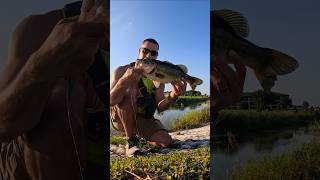 Largemouth Bass Caught in a Pond  Pond Bass Fishing  Savannah Georgia 🎣 [upl. by Ttennej]