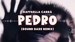 Raffaella Carrà  PEDRO tik tok hit SOUND BASS Remix pedro trendingmusic soundbass [upl. by Dukey]