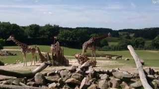 Ree Park  Ebeltoft Safari 2013 HD Full Danmark [upl. by Alim]