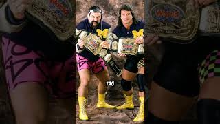 Steiner Brothers steinerbrothers wcw wwe wwf njpw [upl. by Sudnac]