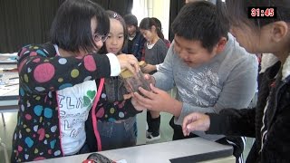 授業まるごと！中津市立豊田小学校5年理科「流れる水の働き」川野和弘教諭（後編） [upl. by Jelle145]