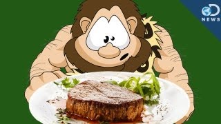 Does Science Back Up the Paleo Diet [upl. by Reppart]