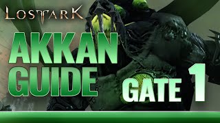 AKKAN Legion Raid  GATE 1 Detailed Guide [upl. by Tara280]