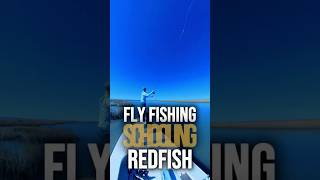 Fly fishing for schooling redfish in shallow clear water I couldn’t buy a bite [upl. by Oker]