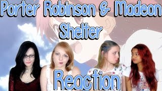 REACTION Porter Robinson amp Madeon  Shelter  Otome no Timing [upl. by Ellehcem455]