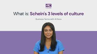 What is Scheins 3 levels of culture [upl. by Llyrrad951]