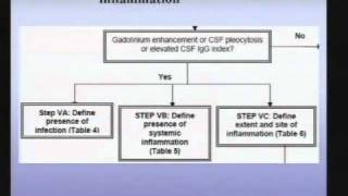 Transverse Myelitis Clinical and Immunologic Considerations [upl. by Nashbar]