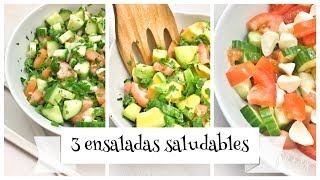 Ensaladas Saludables [upl. by Hgielyak969]